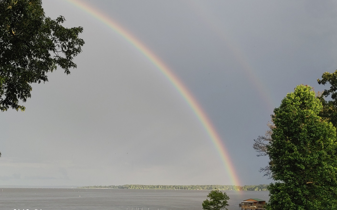 Rainbow over the lake!